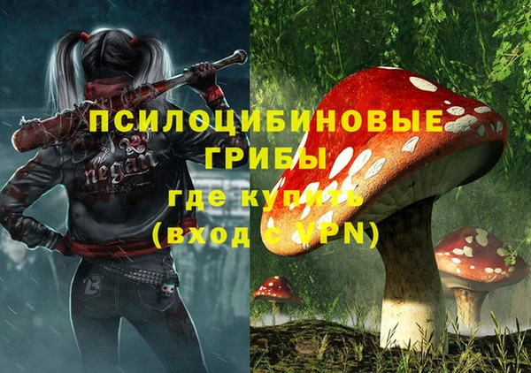 твердый Алексеевка